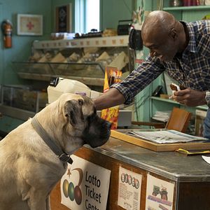 Foto Juntos para Sempre