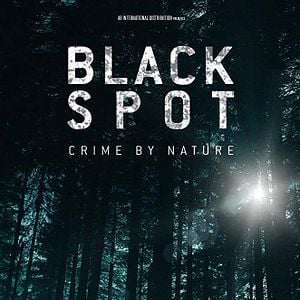 Foto Labirinto Verde