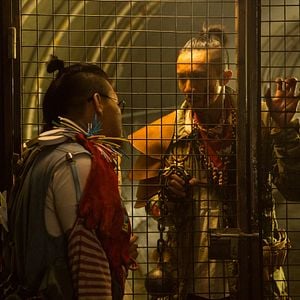 Foto Zumbiologia: Aproveite Essa Noite