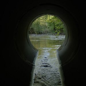 Foto The Devil We Know