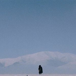 Foto O Ladrão de Cavalos