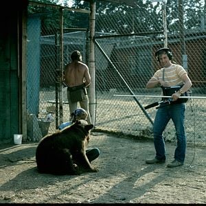 Foto Making Waves: The Art of Cinematic Sound