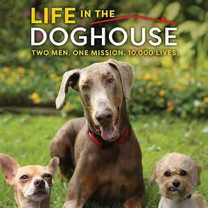 Foto A Casa é dos Cachorros