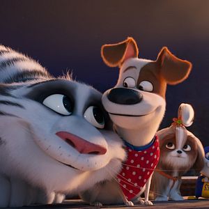 Foto Pets - A Vida Secreta dos Bichos 2
