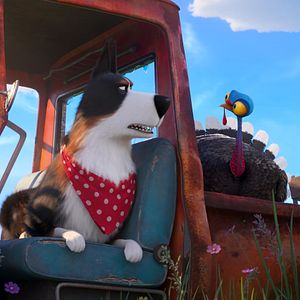 Foto Pets - A Vida Secreta dos Bichos 2