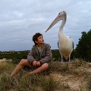 Foto Amigos Para Sempre