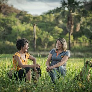 Foto Sementes do Amanhã