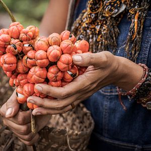 Foto Sementes do Amanhã