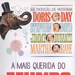 Foto A Mais Querida do Mundo