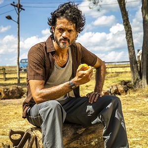 Foto A Dona do Pedaço