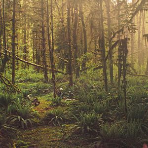 Foto Riqueza Tóxica