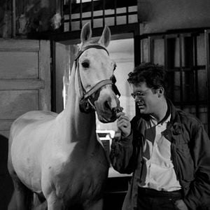 Foto Cinzas e Diamantes