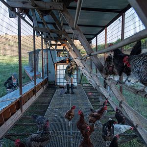 Foto A Pequena Grande Fazenda