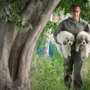 Foto A Pequena Grande Fazenda