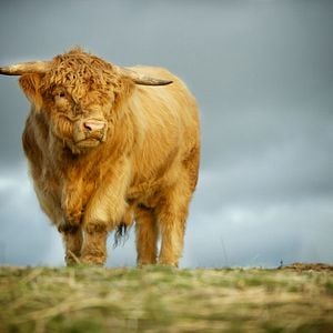 Foto A Pequena Grande Fazenda