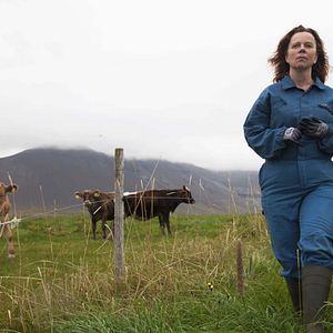 Foto A Resistência de Inga