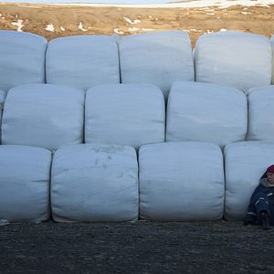 Foto A Resistência de Inga