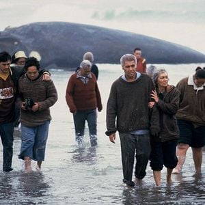 Foto Encantadora de Baleias