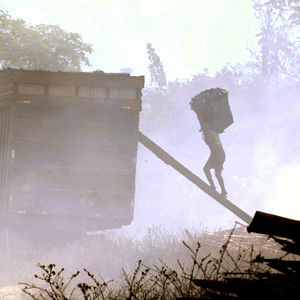 Foto Vidas Descartáveis