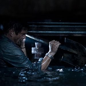 Foto Predadores Assassinos