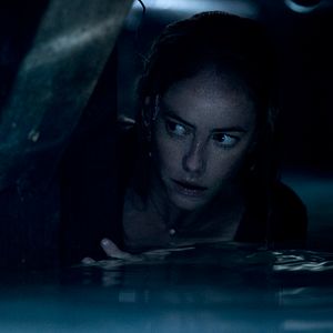 Foto Predadores Assassinos