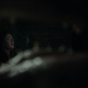 Foto Predadores Assassinos