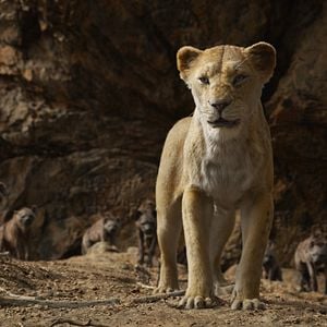 Foto O Rei Leão