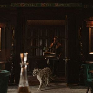 Foto His Dark Materials: Fronteiras do Universo