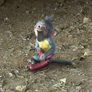 Foto Dora e a Cidade Perdida