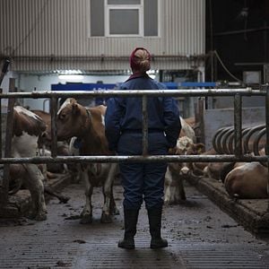 Foto A Resistência de Inga