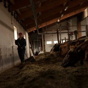 Foto A Resistência de Inga