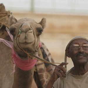 Foto Talking About Trees