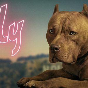 Foto Era uma Vez em... Hollywood