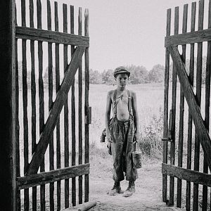 Foto O Pássaro Pintado