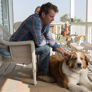 Foto Juntos para Sempre