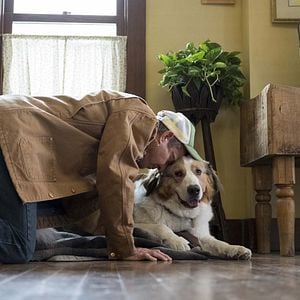 Foto Juntos para Sempre