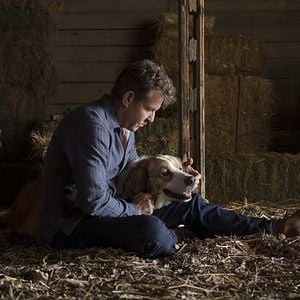 Foto Juntos para Sempre