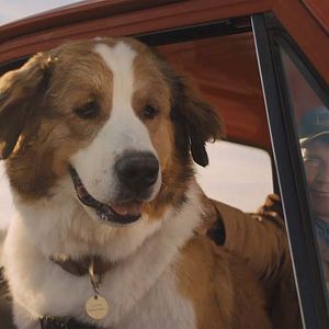 Foto Juntos para Sempre