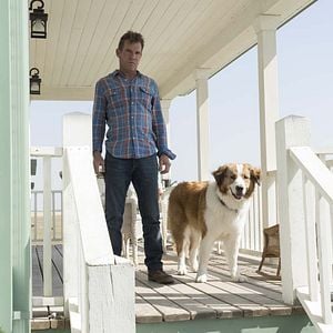 Foto Juntos para Sempre