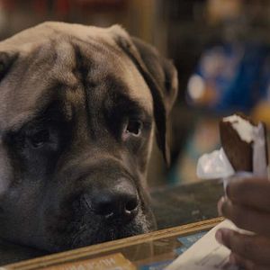 Foto Juntos para Sempre