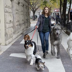 Foto Juntos para Sempre