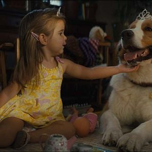 Foto Juntos para Sempre