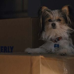 Foto Juntos para Sempre