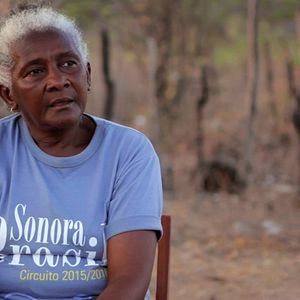 Foto Vozes da Floresta