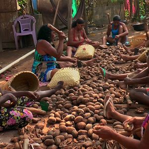 Foto Vozes da Floresta