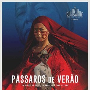 Foto Pássaros de Verão