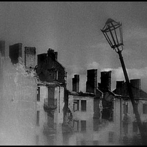 Foto O Pássaro Pintado