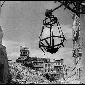 Foto O Pássaro Pintado