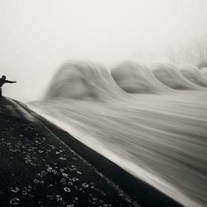 Foto O Pássaro Pintado