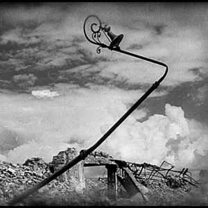 Foto O Pássaro Pintado